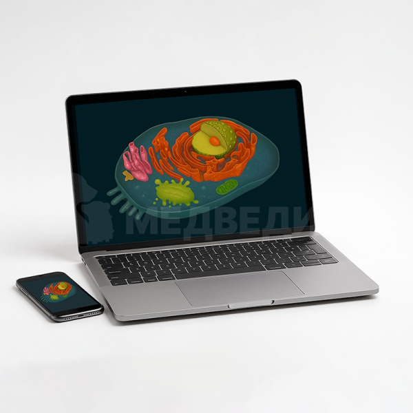 Интерактивное наглядное 3D пособие «Познание: Микробиология»